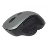 Optinė pelė Gembird MUSW-6B-02-BG USB