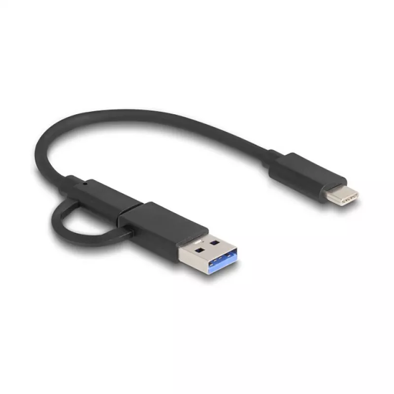 Delock 91012 USB Type-C atminties kortelių skaitytuvas CFexpress Type A