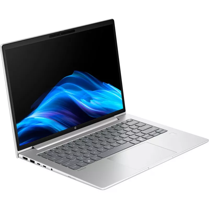 Probook 4 G1a (C07P5ES), Nešiojamasis kompiuteris Sidabrinis, AMD Ryzen 5 230, AMD Radeon 760M, 24 GB DDR5, 1 TB (1 TB SSD), be operacinės sistemos