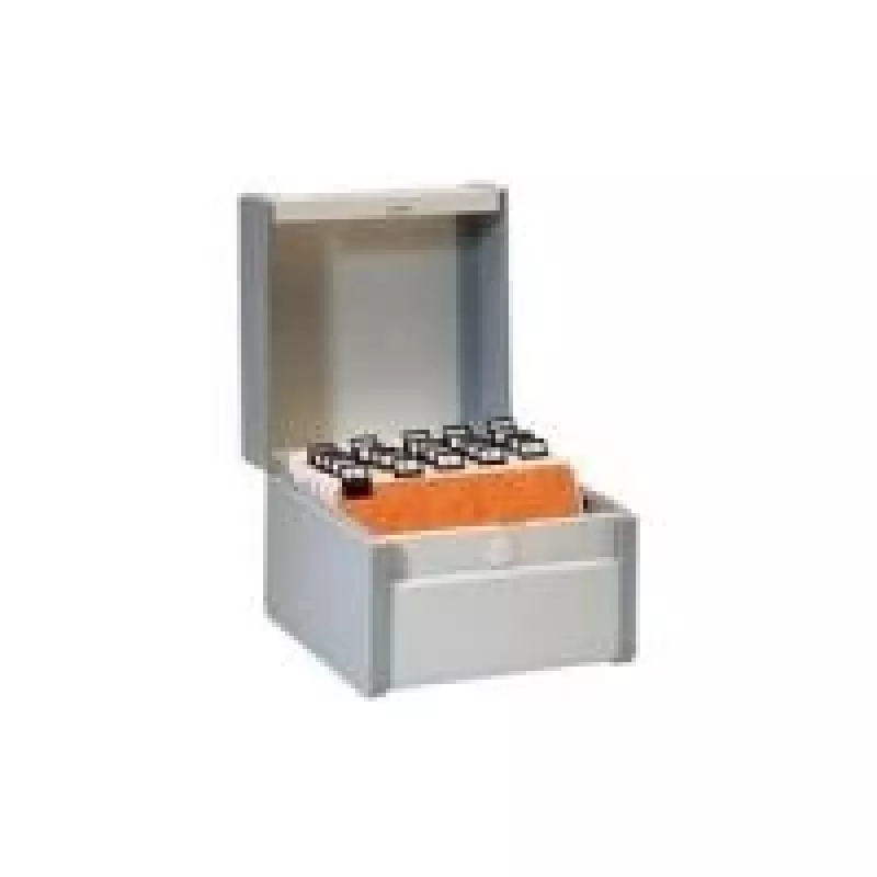 Rexel 3410300 dokumentų laikymo dėžė pilka