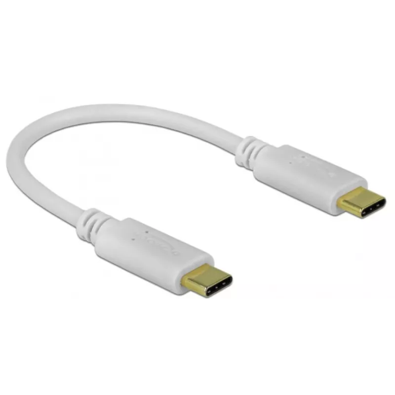 Delock - USB-C / maitinimo laidas - 24 kontaktų USB-C (V) į 24 kontaktų USB-C (V) - 5 A - 15 cm - USB maitinimo šaltinis (100 W), palaiko „Power Delivery 2.0“ - balta (85357)