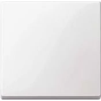 Merten 434119 šviesos jungiklis, baltas, termoreaktingas plastikas (434119)