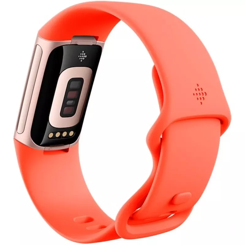 Fitbit GA05184-EU gaminys