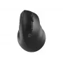 Belaidė optinė pelė NATEC CRAKE 2 — Bluetooth 5.2, 2400 DPI, 6 mygtukai, dešinei rankai, juoda