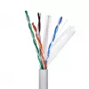 Gembird CAT6 FTP 100m tinklo kabelis Pilkas F/UTP (FTP)