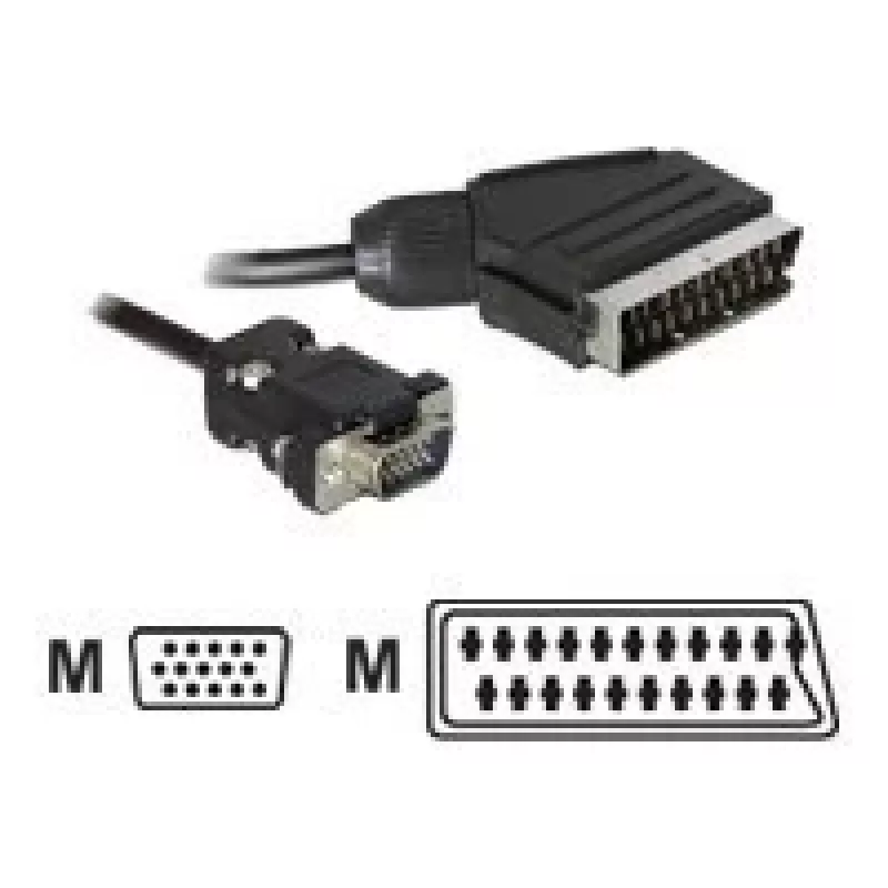 Vaizdo kabelio adapteris DeLOCK 65028 SCART (21 kontaktų) į VGA (D-Sub) 2 m