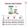 Sausas šunų maistas Royal Canin Adult Mini S 8 kg — visavertė mityba mažiems suaugusiems šunims