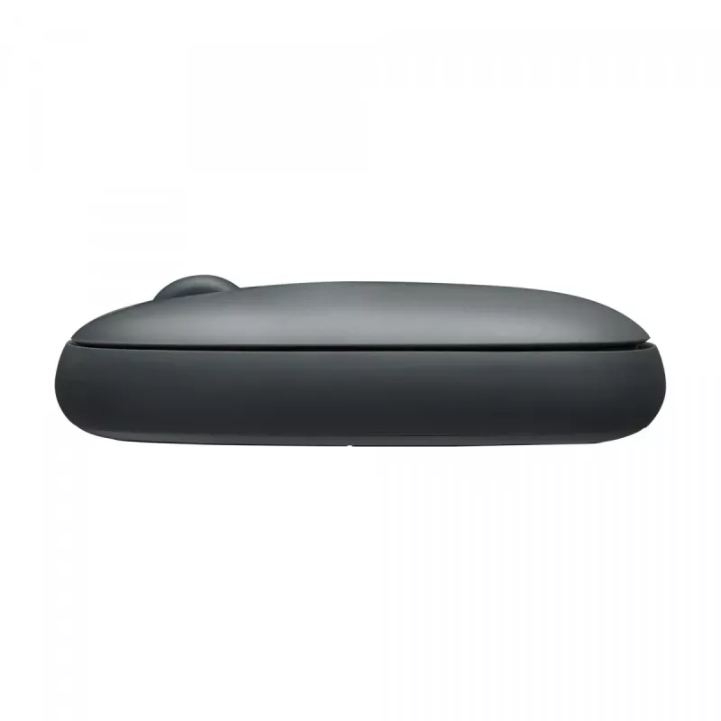 Pelė Rapoo M660 Silent RF Wireless + Bluetooth