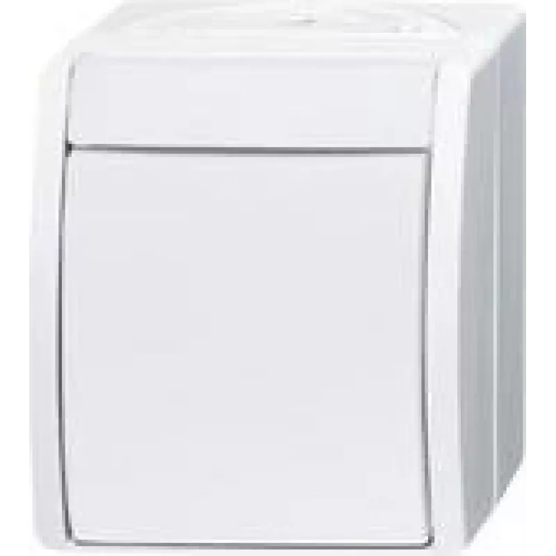 Busch Jaeger Išjungimo Jungiklis 2601/2 W-54 (2CKA001085A1627)