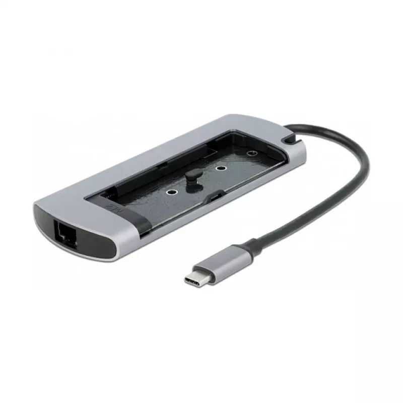 Dokų stotelė DeLOCK USB Type-C su M.2 lizdu