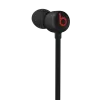 Apple Beats Flex ausinės