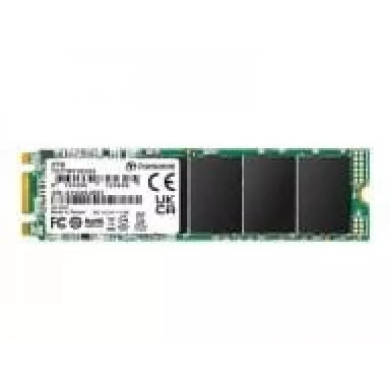 SSD diskas Transcend 2 TB M.2 SATA III TS2TMTS825S