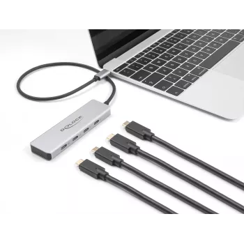 DeLOCK USB Type-C šakotuvas 10 Gbps 4 prievadai aliuminis pilkas