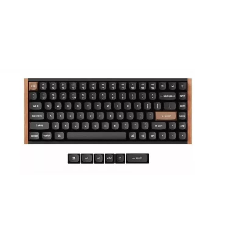 Belaidė mechaninė klaviatūra Keychron K2 Special Edition – kompaktiškas 75% išdėstymas, RGB apšvietimas, juoda, modelis K2H-F1