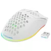 Žaidimų pelė Deltaco GAM-120-W RF belaidė USB Type-C