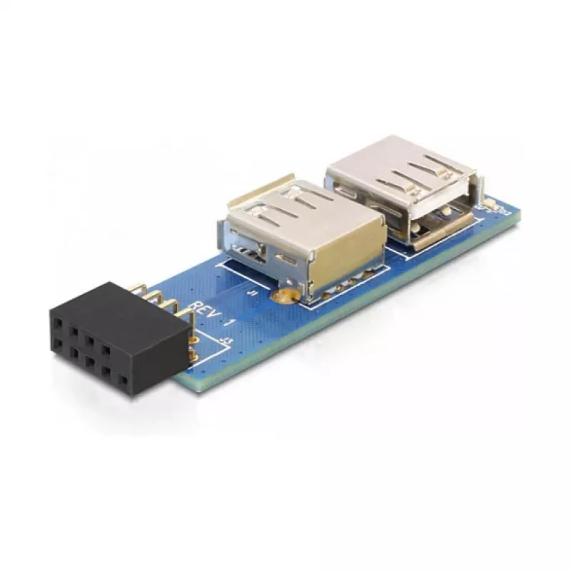DeLOCK 9 kontaktų 2,54 mm USB 2.0 jungtis 41820