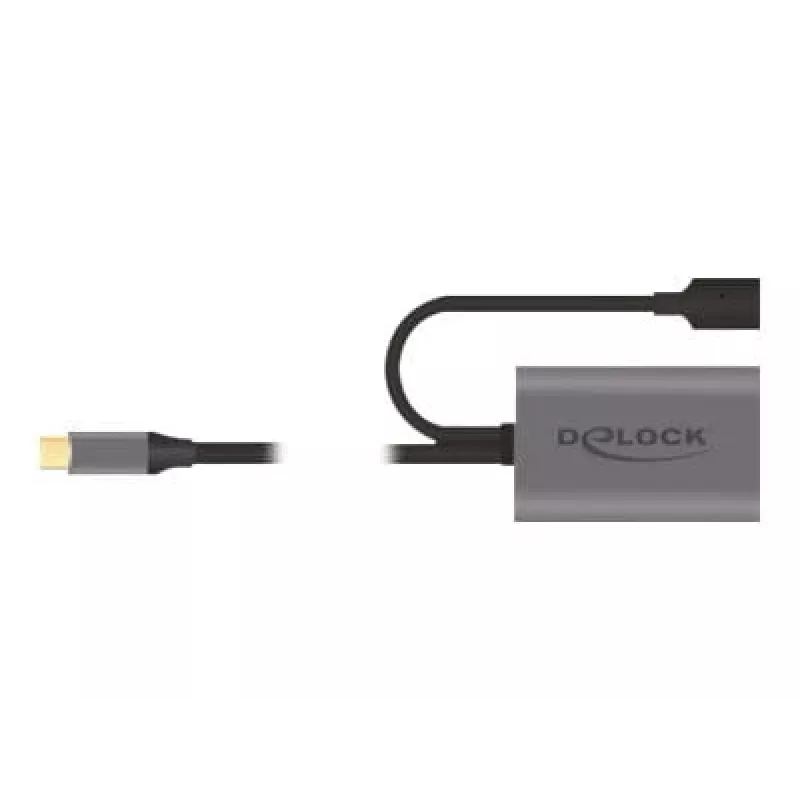 Delock USB-20225 maitinimo adapteris pilkas