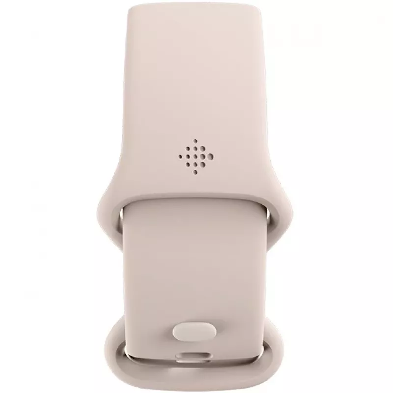 Fitbit GA05185-EU gaminys sidabrinis