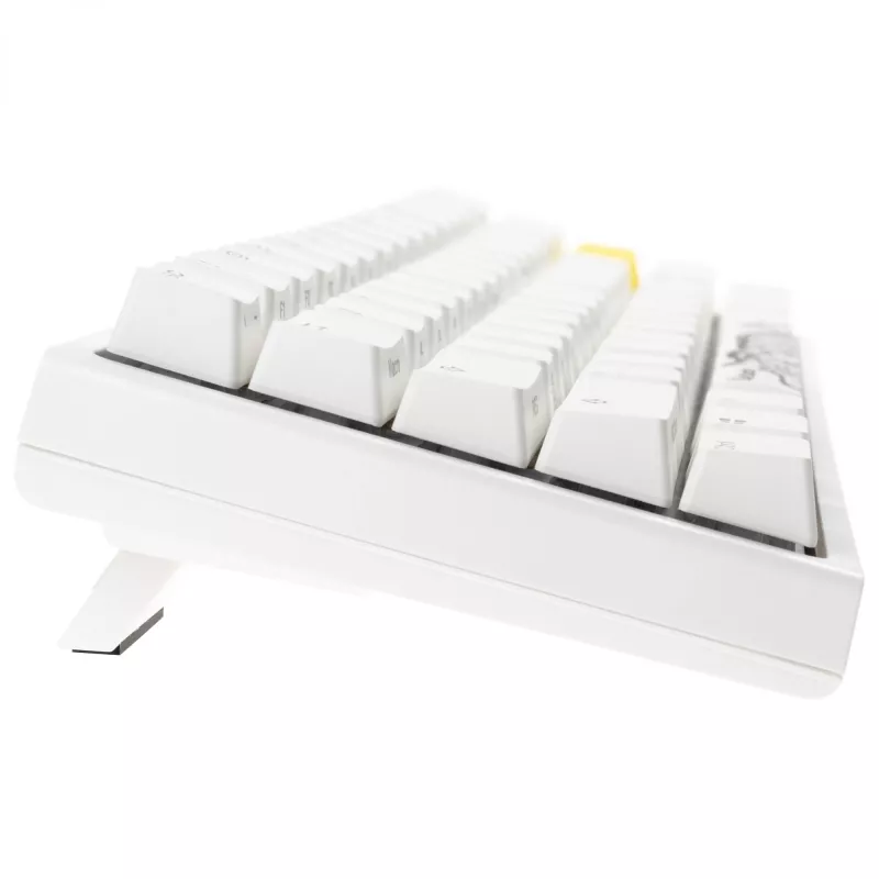 Mechaninė žaidimų klaviatūra Ducky One 2 Pro Mini RGB LED su Cherry MX Blue jungikliais, 60% išdėstymas
