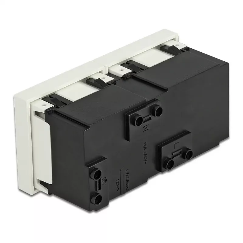 Sieninis lizdas DELOCK 81423 — CEE 7/3, 16 A, 250 V, balta, ABS/PC, 45×90 mm