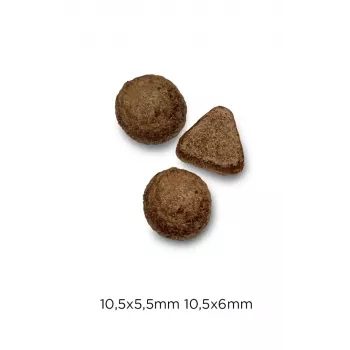 Sausas kačių maistas Optimanova Cat Adult Rabbit & Potato 2 kg - suaugusių kačių priežiūros receptas