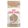 Sausas kačių maistas Royal Canin Sphynx Adult 2 kg — kiaulienos skonio, 33% baltymų, 23% riebalų