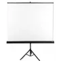 Avtek Tripod Standart 175 projekcinis ekranas 1:1