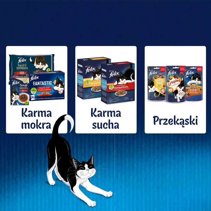 Šlapias kačių maistas Purina Nestlé FELIX Fantastic žuvies skoniai — tunas, lašiša, menkė, plekšnė, 12×85 g paketėliai