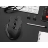 pelė Tracer Cozy Right-hand RF Wireless Optical 1600 DPI
