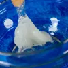 Mokslo rinkinys Liscianigiochi Crazy Science Švytintis gleivės tamsoje 304-PL89239 — švytinčių gleivių eksperimentų rinkinys