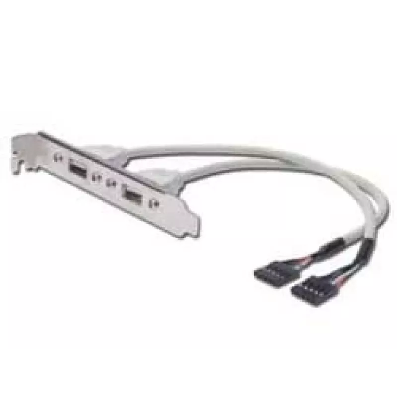 USB lizdo laikiklio kabelis Digitus AK-300301-002-E