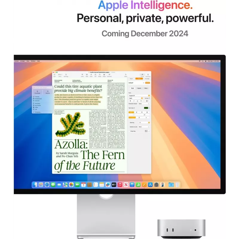 Apple Mac Mini CTO M4 10-Core (2TB) (Z1CF-003000)