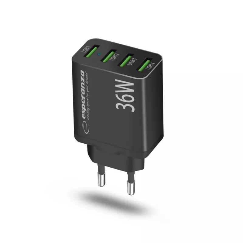 Esperanza EZC107K tinklo maitinimo adapteris 36W Juodas