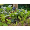 Gardena Smart Sensor Control sodo laistymo valdymo rinkinys