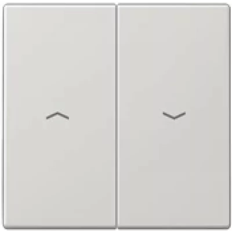 Jung LS 995 P LG (LS995PLG)