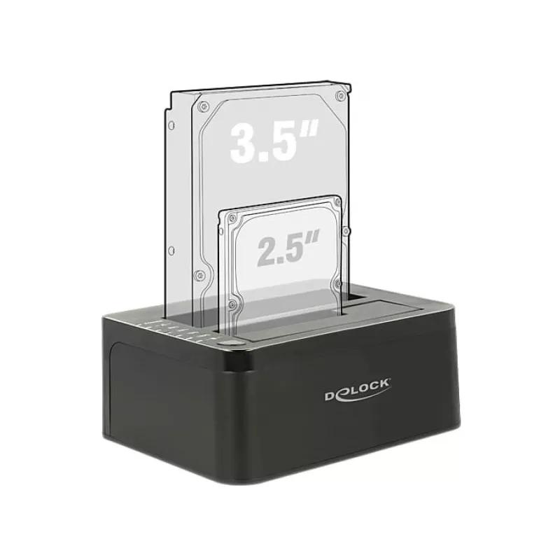 Delock ZG-12300 saugojimo diskas juodas