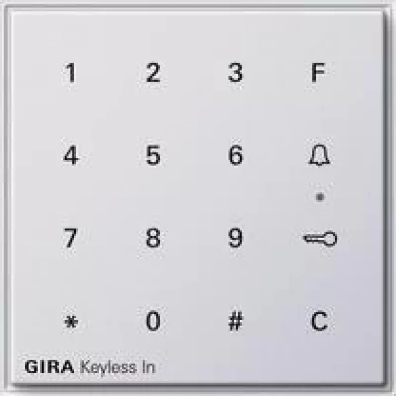 Gira 260566 tinklo įrenginys