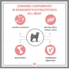 PUPIL Premium All Meat Gold ėriuko nugarinė - šlapias šunų ėdalas - 800g