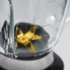 Caso | Blenderis | MX 1000 | Stalo | 1300 W | Stiklinis indas | Talpa 1,5 L | Ledo smulkinimas | Nerūdijantis plienas