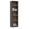 Topeshop R50 ANT/ART biuro knygų spinta