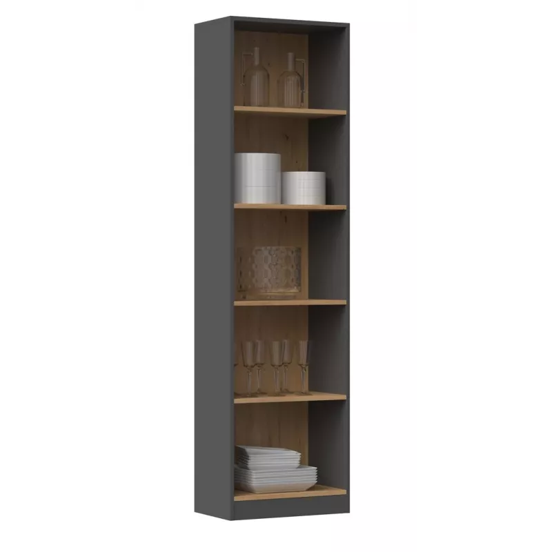 Topeshop R50 ANT/ART biuro knygų spinta
