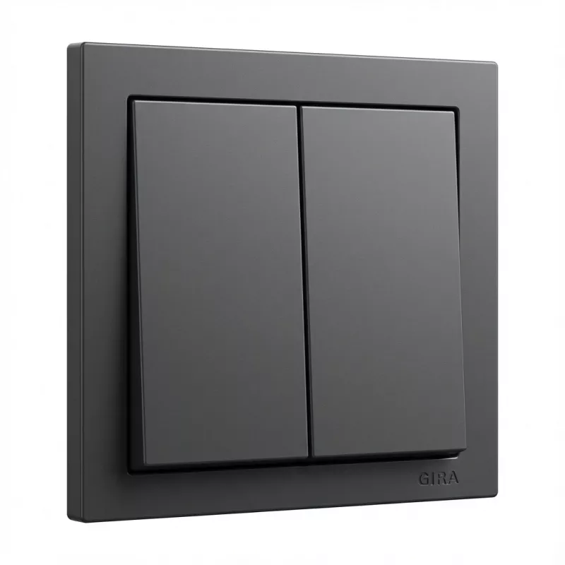 Jungiklio svirties dangtelio plokštė GIRA System 55 2 vietų Wippe antracitas (modelis 329528)