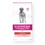 Eukanuba Veterinary Diet Intestinal 12 kg Suaugusiems