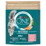 Sausas kačių ėdalas Purina Nestlé PURINA One Bifensis Adult Salmon 800 g — lašišos skonio, 34% baltymų, 14% riebalų