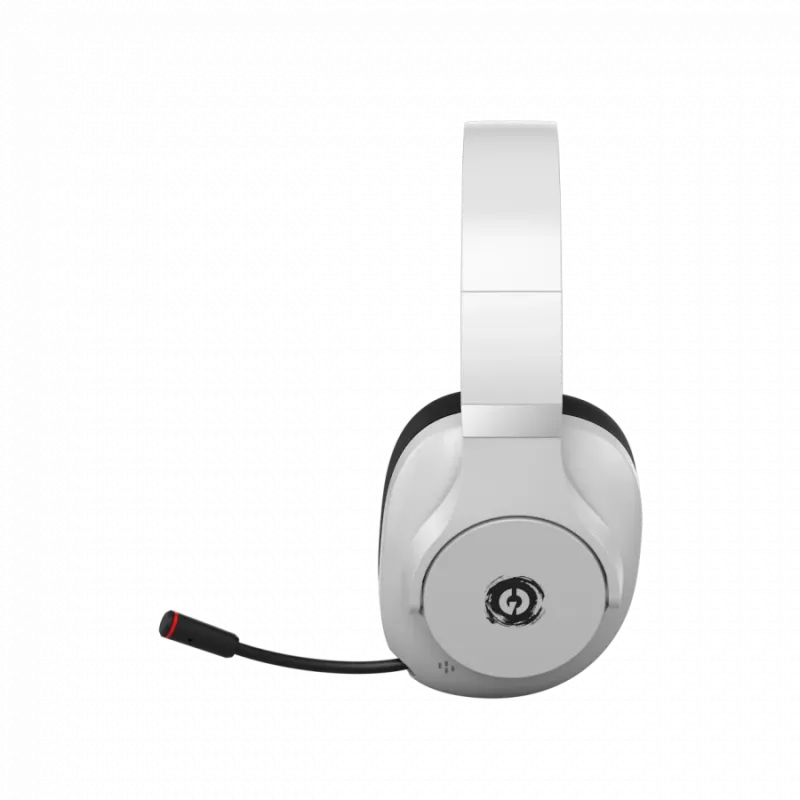 Ausinės CANYON EGO GH-15 2in1 BT baltos