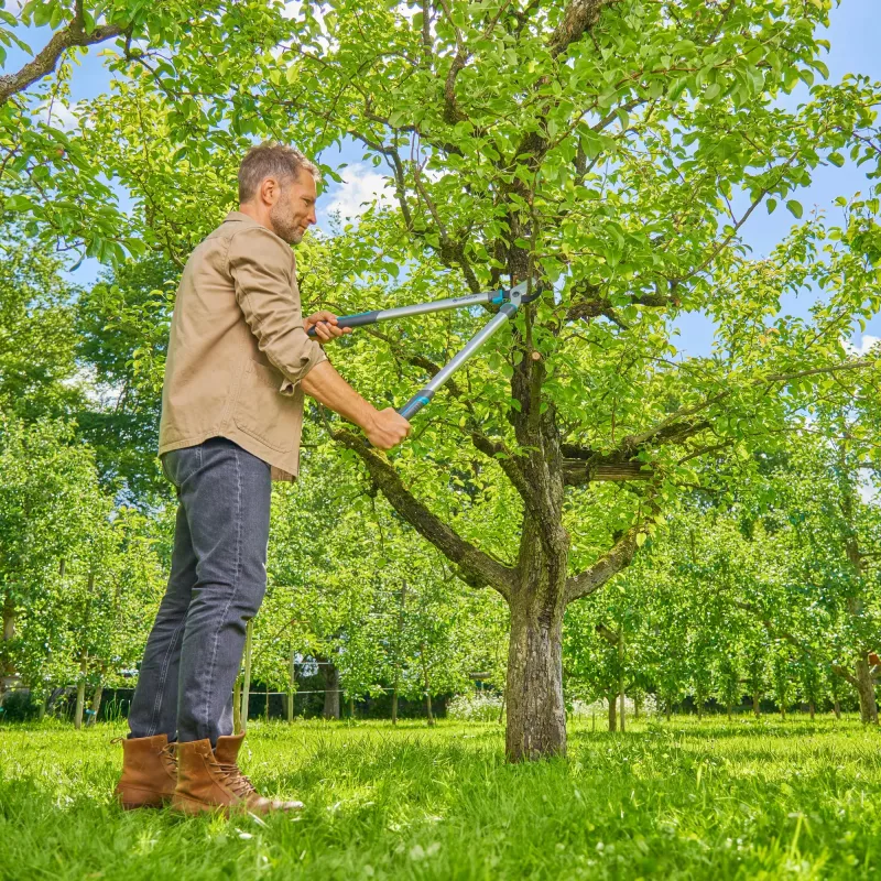 Gardena genėjimo žirklės EasyCut L pilka/turkio 50cm (12031-88)