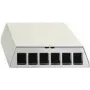 Patch panel Rutenbeck PP-UM A-6 Ap rw 6 prievadų gryna balta