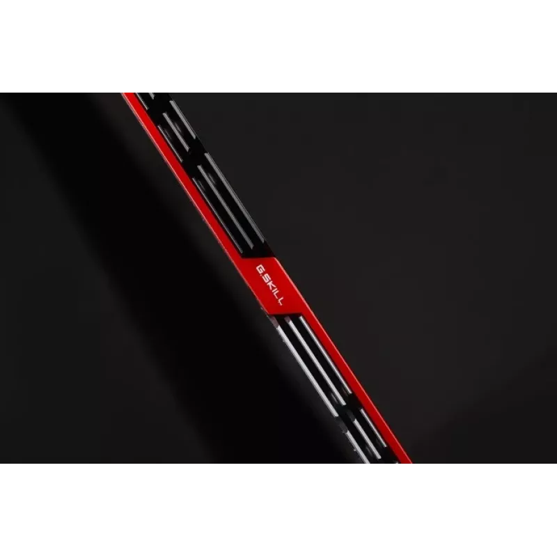 G.Skill DDR4 operatyvioji atmintis 16GB 3200MHz Trident Z dviejų modulių rinkinys