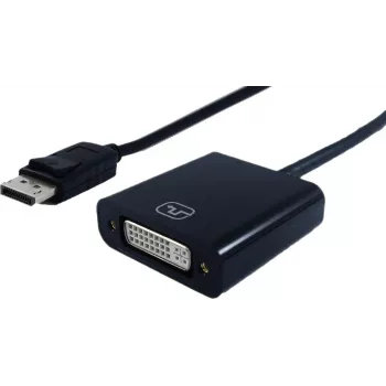 STANDARD DisplayPort-DVI adapteris, DP kištukas–DVI lizdas, 0,15 m (S3202)
