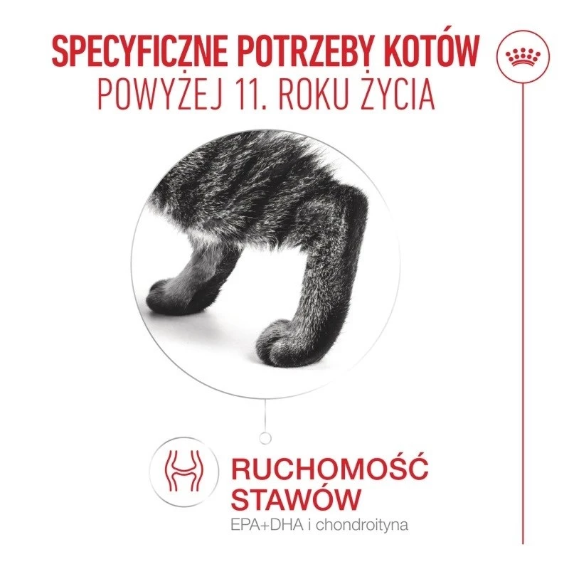 Sausas kačių ėdalas Royal Canin FHN Ageing 11+ 4 kg — visavertis ėdalas vyresnio amžiaus katėms, paukštiena, 30 % baltymų